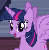Twilight Twilight